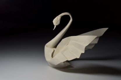 Picture of Dancing Swan 2013